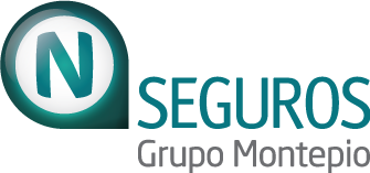N Seguros